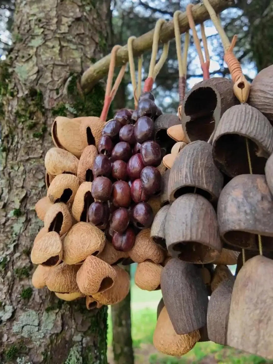 Why Natural Seed Pod Wind Chimes Beat Metal & Plastic Decor