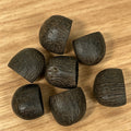 Salin Water Tern Rattle  Seed Chime