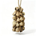 Panji Pangium Rattle Seed Chime