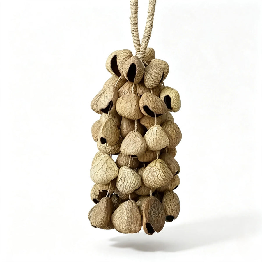 Panji Pangium Rattle Seed Chime