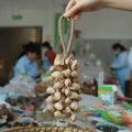 Chacha Oleander Rattle Seed Chime