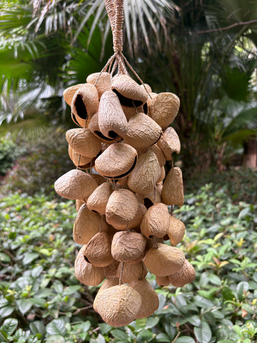 Panji Pangium Rattle Seed Chime
