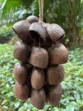 Salin Water Tern Rattle  Seed Chime