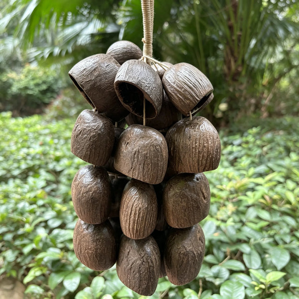 Salin Water Tern Rattle  Seed Chime