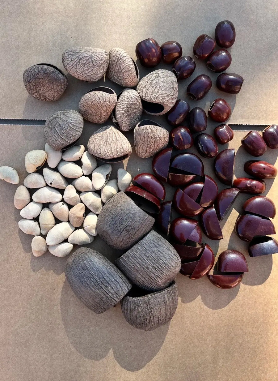 Mix-4 Seed Rattle Chime